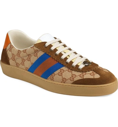 Shop Gucci Web Sneaker In Brown