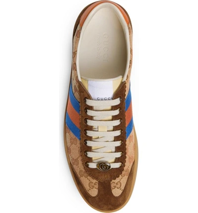 Shop Gucci Web Sneaker In Brown