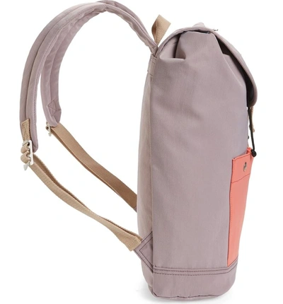 Shop Doughnut Montana Water Repellent Backpack - Purple In Lilac/ Peach