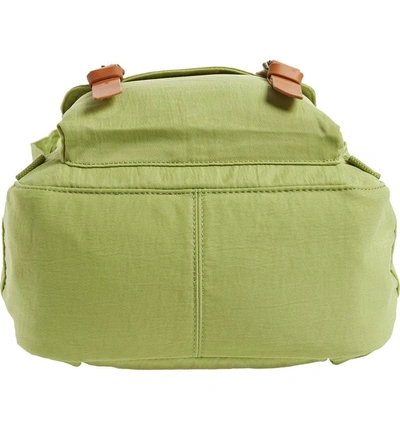 Shop Doughnut Macaroon Water Resistant Backpack - Green In Green Tea