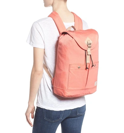 Shop Doughnut Montana Water Repellent Backpack - Pink In Peach