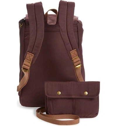 Shop Doughnut Montana Water Repellent Backpack - Purple In Eggplant