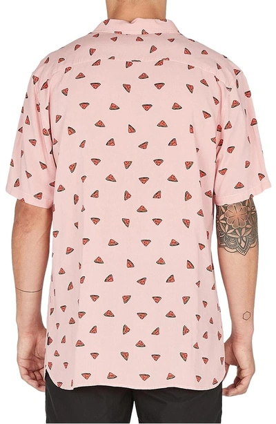 Shop Barney Cools Holiday Woven Shirt In Pink Watermelon