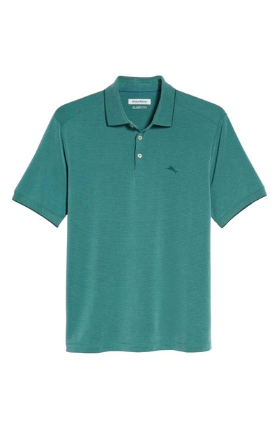 Shop Tommy Bahama Coastal Crest Polo In Forest Green