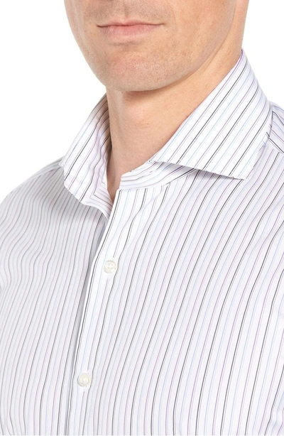 Shop Ike Behar Regular Fit Stripe Dress Shirt In White/ Blue/ Purple
