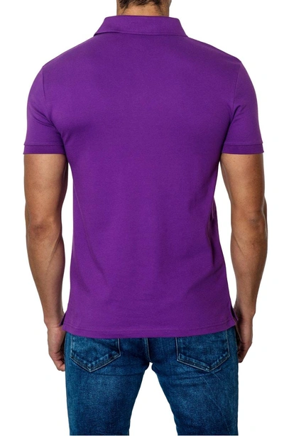 Shop Jared Lang Polo In Purple