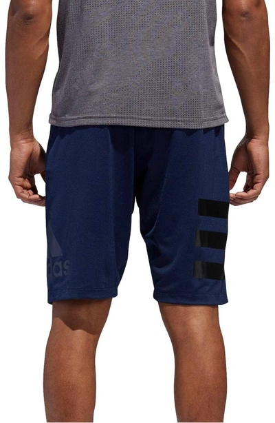 Shop Adidas Originals Sb Hype Icon Shorts In Collegiate Navy/ Black