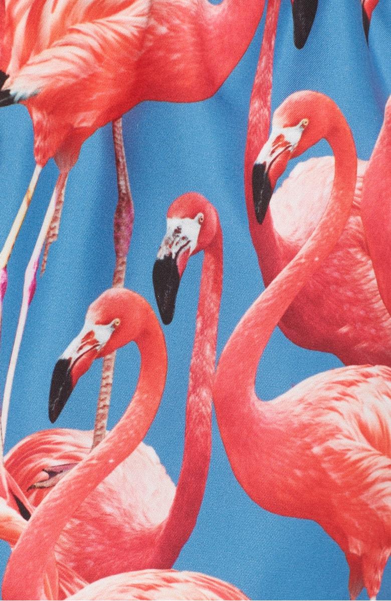 ted baker flamingo swim shorts