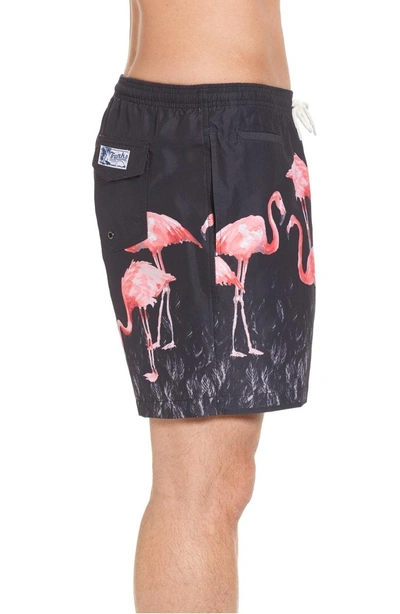 Shop Trunks Surf & Swim Co. San O Flamingo Print Swim Trunks In Black Multi