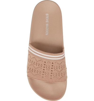 Shop Steve Madden Vibe Sock Knit Slide Sandal In Blush