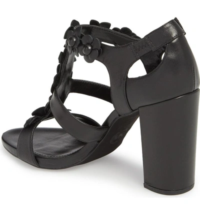 Shop Michael Michael Kors Tricia T-strap Sandal In Black Leather