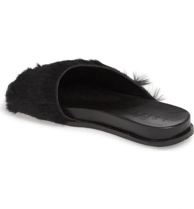 Shop 1.state Onora Genuine Rabbit Fur Slide Sandal In Black Rabbit Fur