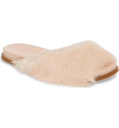 Shop 1.state Onora Genuine Rabbit Fur Slide Sandal In Blush Rabbit Fur