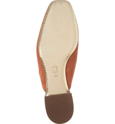 Shop Tory Burch Carlotta Mule In Desert Spice