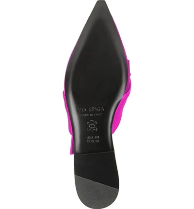 Shop Via Spiga Birgit Pointy Toe Mule In Fuchsia Fabric