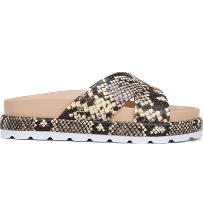 Shop Sam Edelman Sadia Slide Sandal In Natural Snake Print Leather