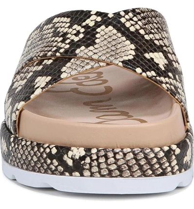 Shop Sam Edelman Sadia Slide Sandal In Natural Snake Print Leather