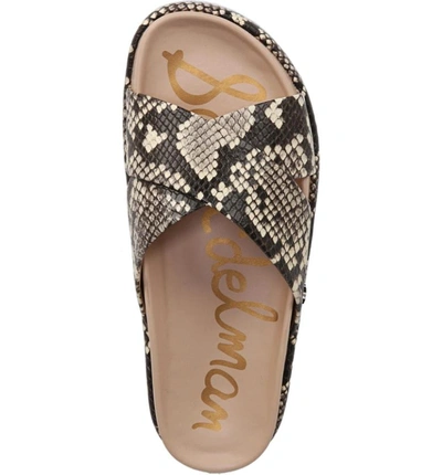 Shop Sam Edelman Sadia Slide Sandal In Natural Snake Print Leather