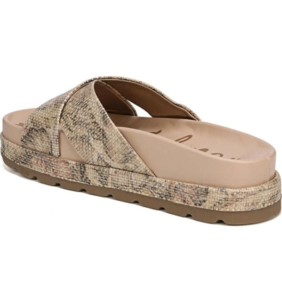 Sam shop edelman sadia