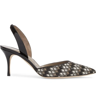 Shop Manolo Blahnik 'carolyne' Pointy Toe Slingback Pump In Black/ Grey/ White