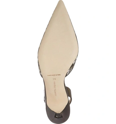 Shop Manolo Blahnik 'carolyne' Pointy Toe Slingback Pump In Black/ Grey/ White