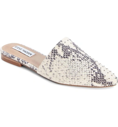 Shop Steve Madden Trace Studded Mule In Natural Snake Print Leather