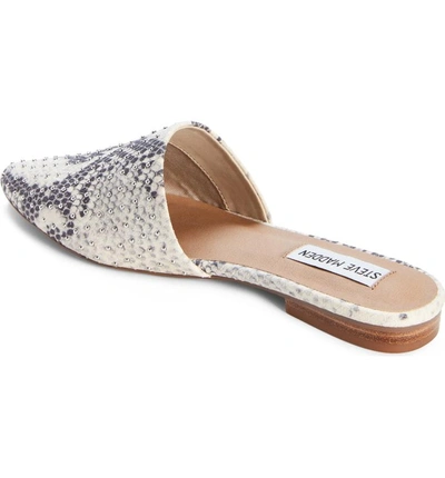 Shop Steve Madden Trace Studded Mule In Natural Snake Print Leather