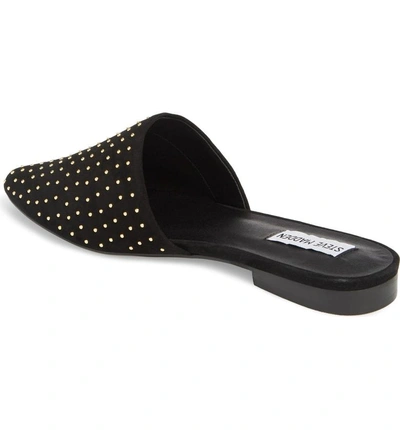 Shop Steve Madden Trace Studded Mule In Black With Stud