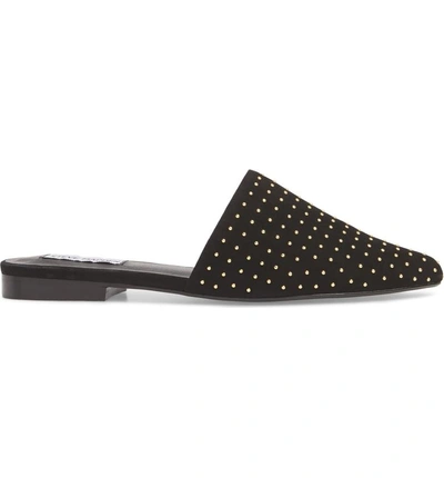 Shop Steve Madden Trace Studded Mule In Black With Stud