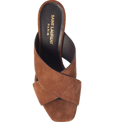 Shop Saint Laurent Loulou Cross Strap Mule In Caramel Suede