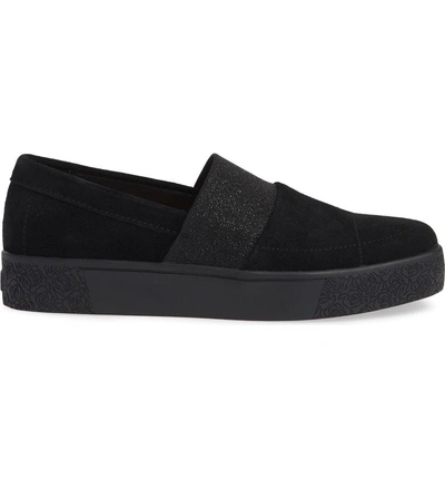 Shop Taryn Rose Greta Slip-on Sneaker In Black Suede