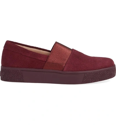 Shop Taryn Rose Greta Slip-on Sneaker In Burgundy Suede