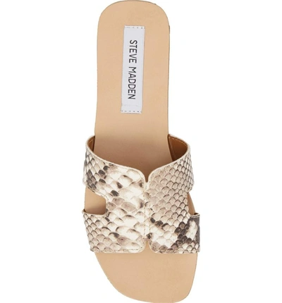 Shop Steve Madden Sayler Slide Sandal In Natural Snake Print