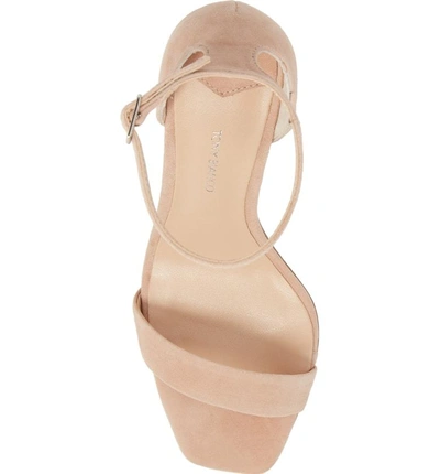 Shop Tony Bianco Samala Ankle Strap Sandal In Blush Suede