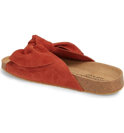 Shop Jeffrey Campbell Sunmist Knotted Slide In Rust Suede