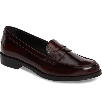 Shop Tod's Penny Loafer In Burgundy