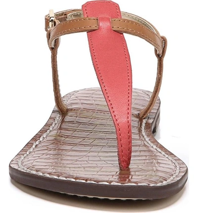 Shop Sam Edelman Gigi Sandal In Hot Coral/ Saddle Leather
