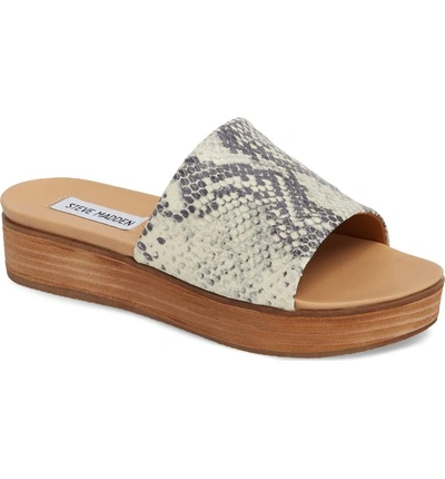 Shop Steve Madden Genca Slide Sandal In Natural Snake Print