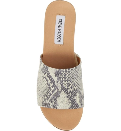 Shop Steve Madden Genca Slide Sandal In Natural Snake Print