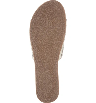 Shop Steve Madden Genca Slide Sandal In Natural Snake Print