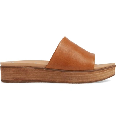 Shop Steve Madden Genca Slide Sandal In Tan Leather