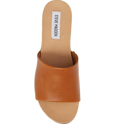 Shop Steve Madden Genca Slide Sandal In Tan Leather