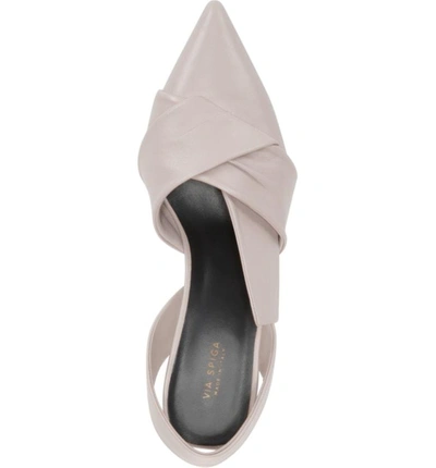 Shop Via Spiga Elisha Pointy Toe Slingback Pump In Bone Leather