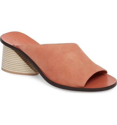 Shop Mercedes Castillo Izar Slide Sandal In Rose Suede
