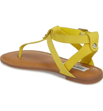 Shop Steve Madden Hidden Sandal In Yellow Nubuck