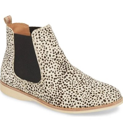 Shop Rollie Genuine Calf Hair Chelsea Bootie In Snow Leopard Calf Hair