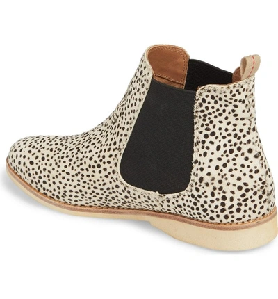 Shop Rollie Genuine Calf Hair Chelsea Bootie In Snow Leopard Calf Hair