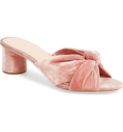 Shop Loeffler Randall Loeffler Randal Celeste Knotted Slide Sandal In Petal