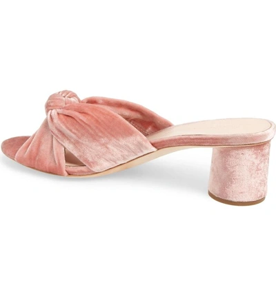 Shop Loeffler Randall Loeffler Randal Celeste Knotted Slide Sandal In Petal