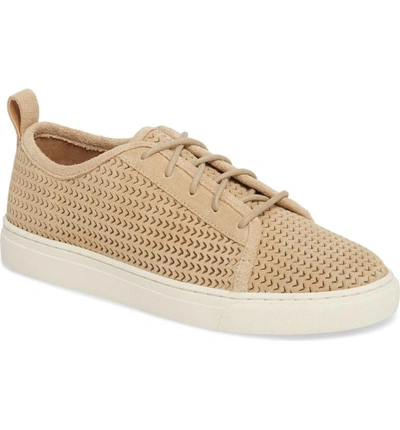 Shop Lucky Brand Lawove Sneaker In Travertine Suede